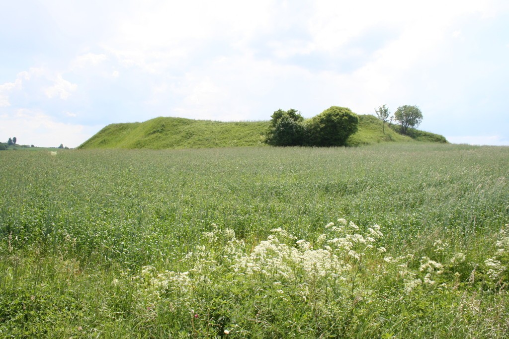 grodzisko mieruniszki Grodzisko w Mieruniszkach