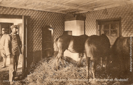 I wojna światowa w Miruniszkach. Wnętrze domu wykorzystywanego przez Rosjan jako stajnia. Fot. A. A. Kühlewindt (ok. 1915). I wojna światowa w Miruniszkach. Wnętrze domu wykorzystywanego przez Rosjan jako stajnia. Fot. A. A. Kühlewindt (ok. 1915).